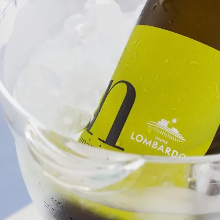 Guest house Terrazze Naos